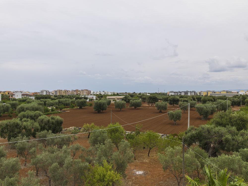 Bed and Breakfast Residenza Il Sole Monopoli Exteriér fotografie