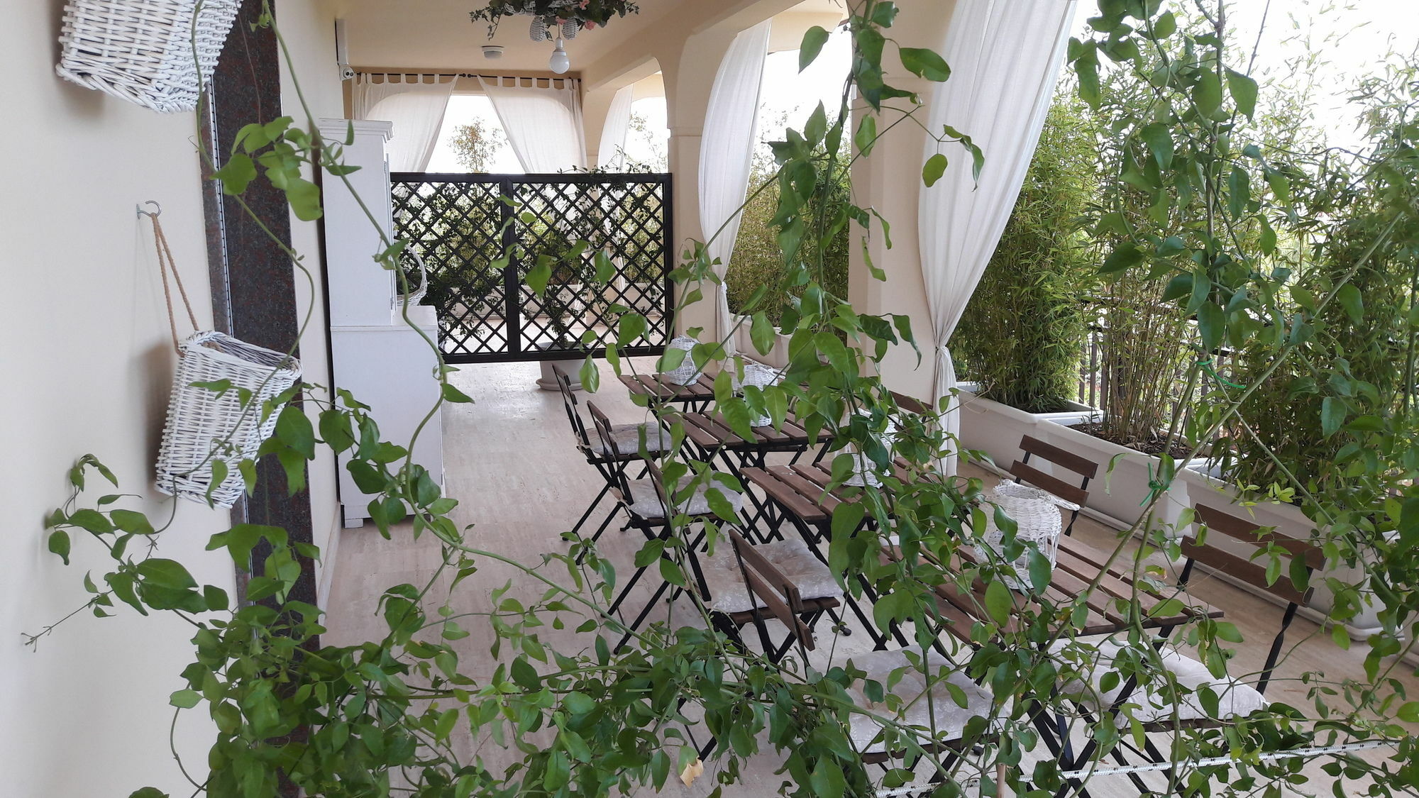 Bed and Breakfast Residenza Il Sole Monopoli Exteriér fotografie